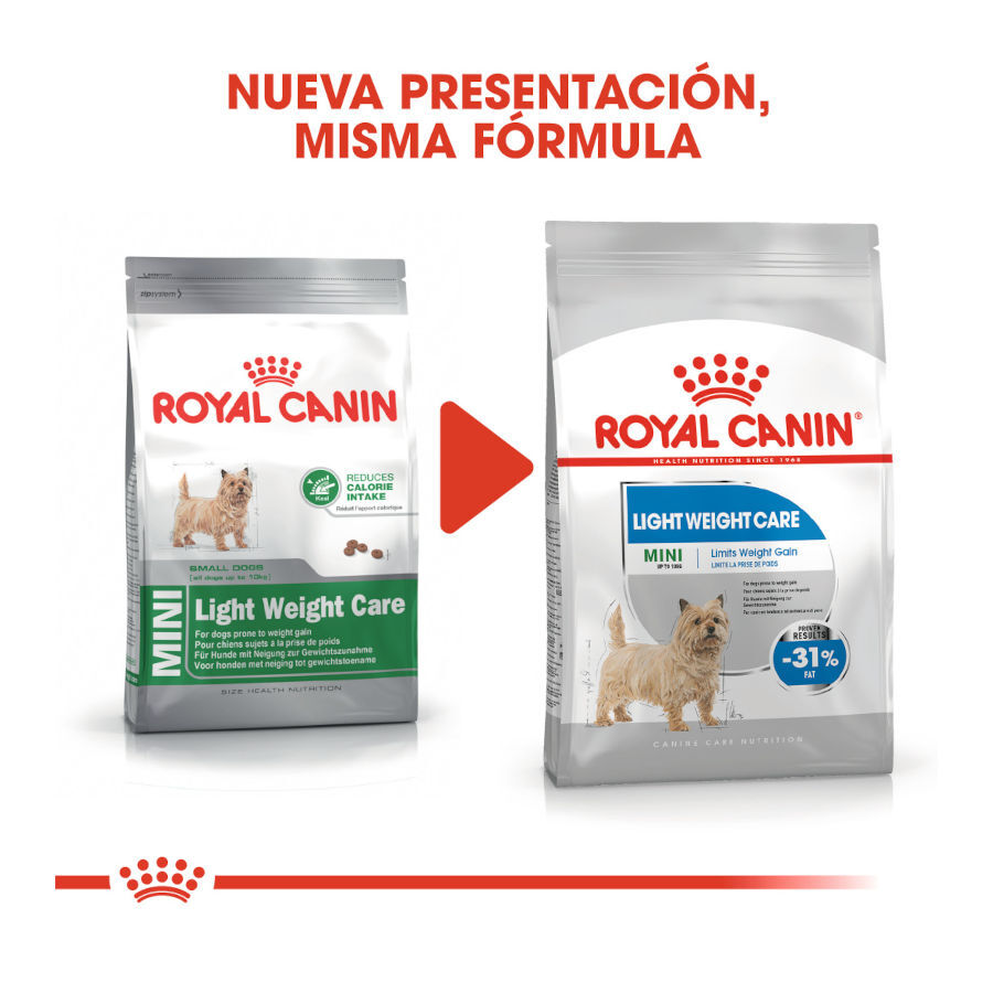 8 kg Royal Canin Mini Light Weight Care pienso para perros, , large indicador imagen numero 3